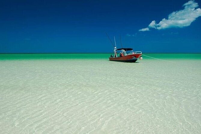 Holbox, Yalahau, Pasion Island & Mosquito beach boat From Tulum - What’s Included & What to Keep in Mind