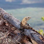 Holbox: Yalahau, Passion Island and Punta Mosquito Boat Tour - The Itinerary Breakdown
