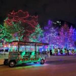 Holiday Lights Tour with Trolley Pub Columbus - What Can You Expect During the Tour?