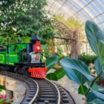 Holiday Train Show All-Garden Pass - Practical Details and Tips