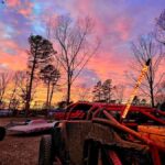 Hollister: 4-Seater CanAm UTV Off-Road Rental - What Makes This UTV Tour Stand Out?