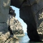 Holy Spirit Island Tour Sea Lions Snorkeling and Beach - Why This Tour Offers Great Value