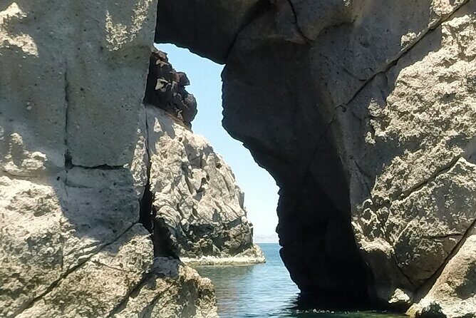 Holy Spirit Island Tour Sea Lions Snorkeling and Beach - Why This Tour Offers Great Value