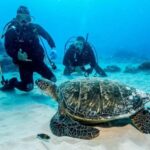 Honolulu: Discover Scuba Diving Experience with Gear - The Equipment and Training