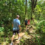 Honolulu: Hawaiian Volcanic Rainforest Hike - What to Expect on the Trail