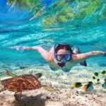 Honolulu Sailing and Snorkeling Activity - Final Thoughts: Is It Worth It?