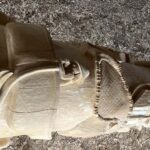 Hoonah: Icy Strait Village Tour and Crab Feast - The Itinerary in Detail