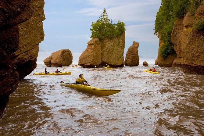 Hopewell Rocks Admission - Who Should Consider This Tour?