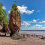 Hopewell Rocks and Fundy National Park Private Tour - What Travelers Say