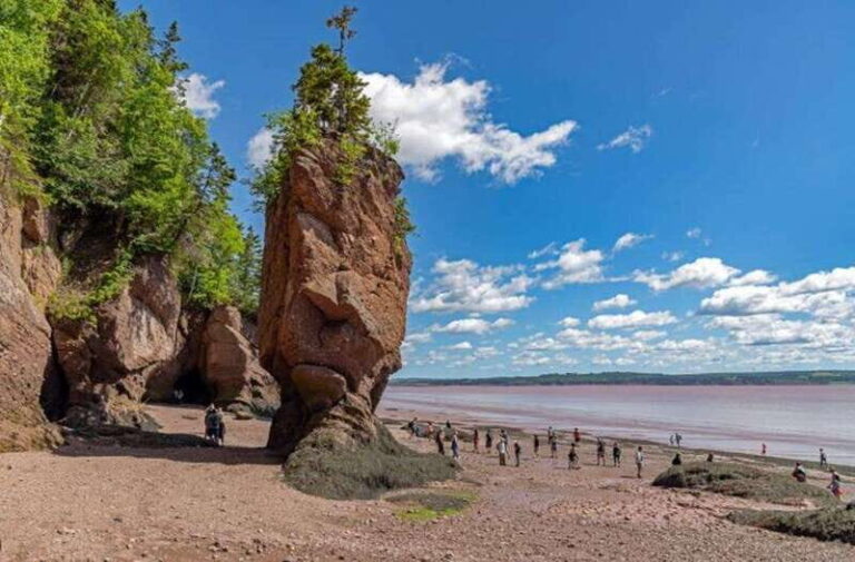 Hopewell Rocks and Fundy National Park Private Tour - What Travelers Say