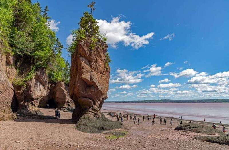 Hopewell Rocks and Fundy National Park Private Tour - What Travelers Say