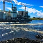 Hopewell Rocks Bay of Fundy Tour - What Travelers Say
