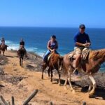 Horse Back Ridding Tour on the Pacific Ocean & Desert - Analyzing the Value