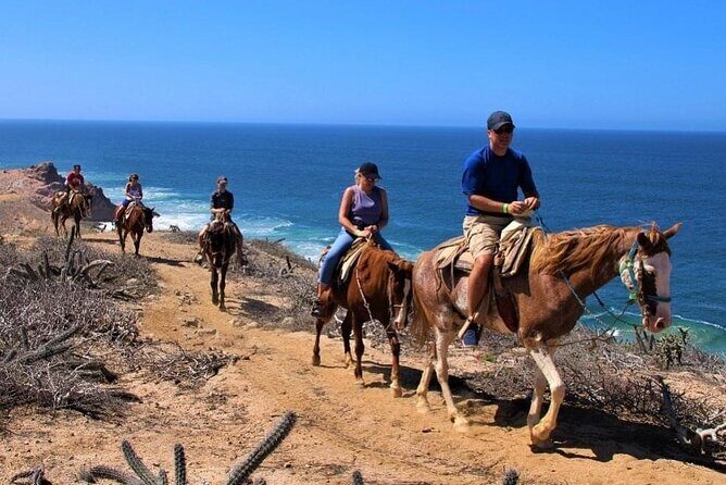 Horse Back Ridding Tour on the Pacific Ocean & Desert - Analyzing the Value