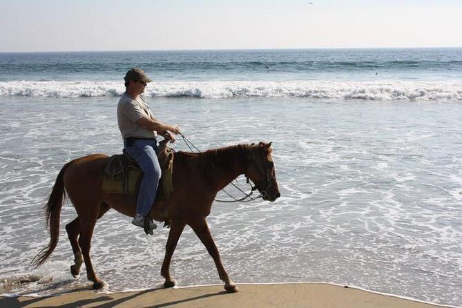 Horse Back Riding With Danitours Montain Rural Areas And Sand Beach - Who Will Love This Tour?