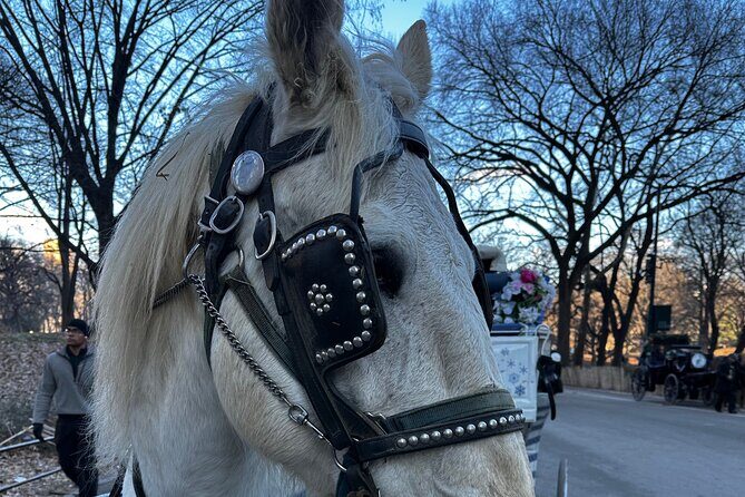 Horse Carriage Tour Through Central Park, NYC SINCE 1903 - Analyzing the Value