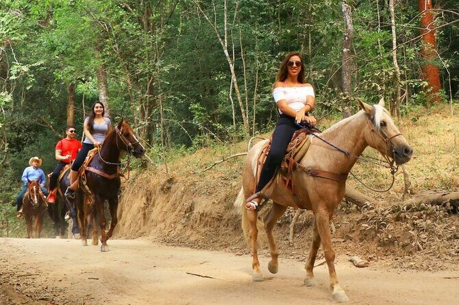 Horse Tour - Practical Information for Planning Your Trip