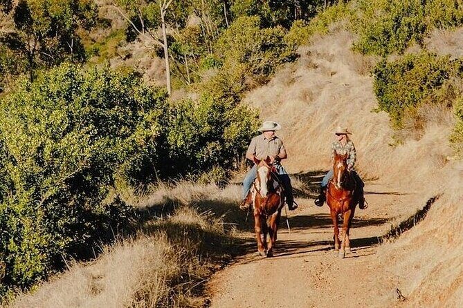 Horse Trail and Canyon Group Ride on Catalina Island - The Value of Guided Tours and Small Groups