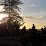 Horseback Adventure in Holbox - Who Should Consider This Experience?