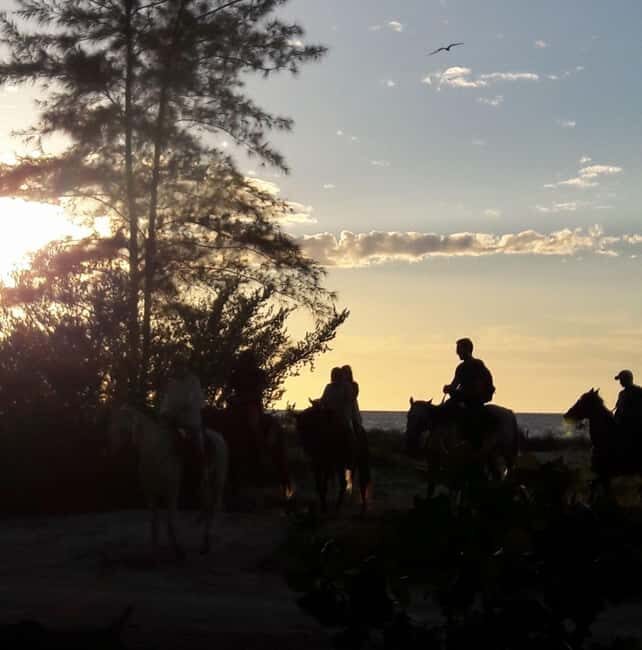 Horseback Adventure in Holbox - Who Should Consider This Experience?