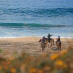 Horseback Adventures - The Itinerary in Detail