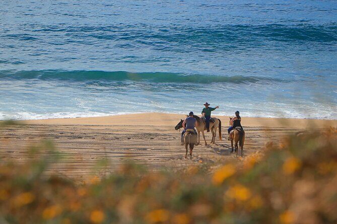 Horseback Adventures - The Itinerary in Detail