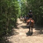 Horseback, ATV´s, Ziplines, Cenote, Hanging bridge Lunch and Round Trip Included - The Experience in Detail: Pros and Cons