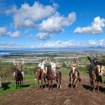Horseback Ride and Carne Asada Ranch Experience in Ensenada - The Itinerary in Detail