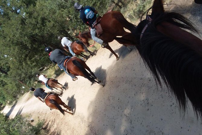 Horseback Ride for 2 or more - The Experience from a Traveler’s Perspective