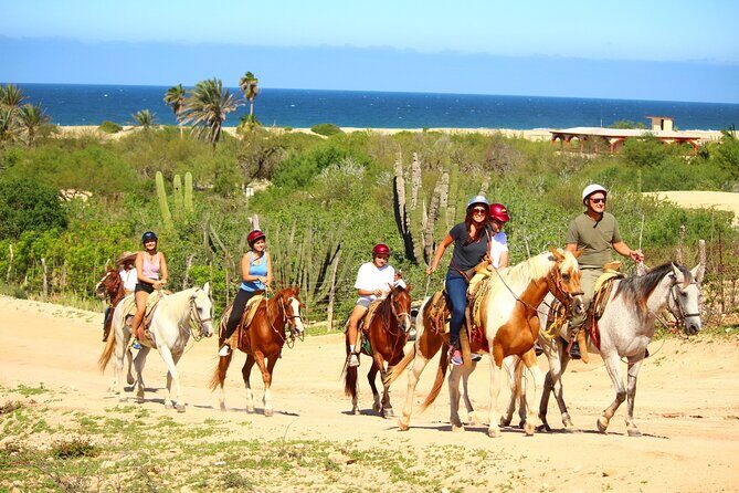 Horseback Riding Adventure in Playa Migriño with Tequila Tasting - Final Thoughts: Is It Worth It?