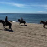 Horseback riding and Temazcal combo with lunch and mezcal - Practical Details and Considerations