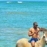 Horseback Riding at Stone Island on the Beach - Authentic Experiences and Practical Details