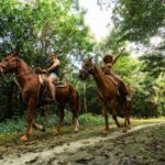 Horseback Riding & ATV Adventure with Ziplines & Cenote - Authentic Feedback and Practical Tips