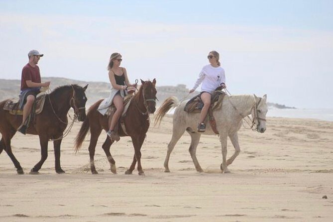Horseback Riding Beach & Desert Adventure - What Real Travelers Say