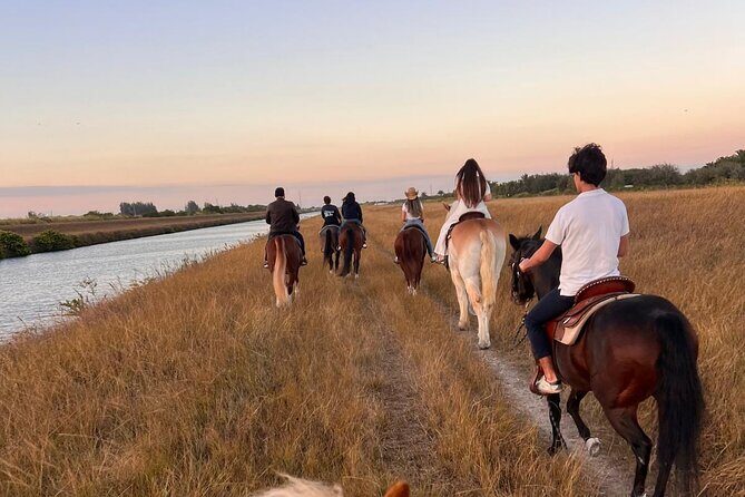Horseback Riding in Miami - The Horses and Guide