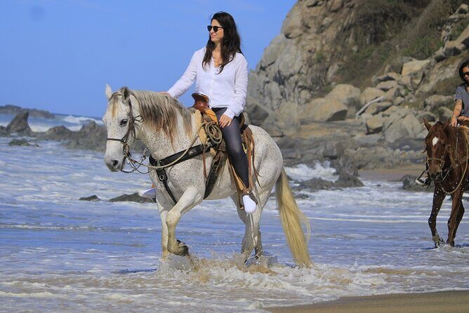 Horseback Riding in Sayulita Through Jungle Trails to the Beach - The Value of the Experience