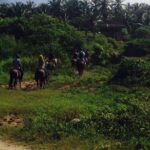 Horseback Riding on the Beach - Key Points