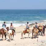Horseback Riding on The Beach and Through The Desert! - Real Feedback from Participants
