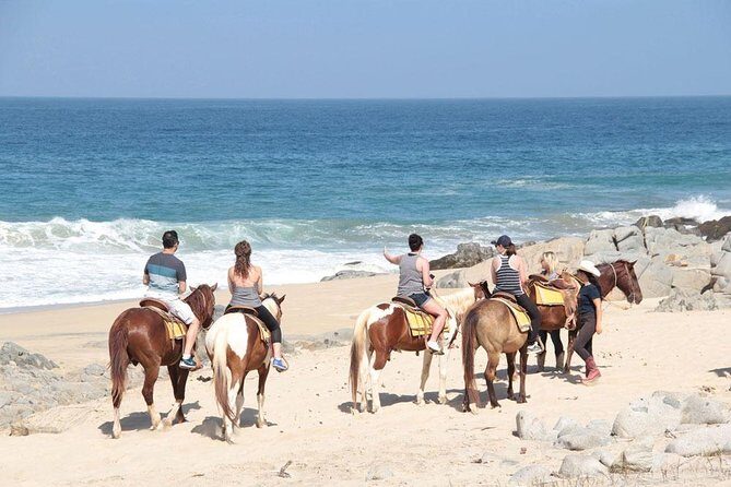 Horseback Riding on The Beach and Through The Desert! - Real Feedback from Participants