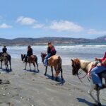 Horseback Riding on the Beach from Ensenada - Practical Details: Price, Duration, and Logistics