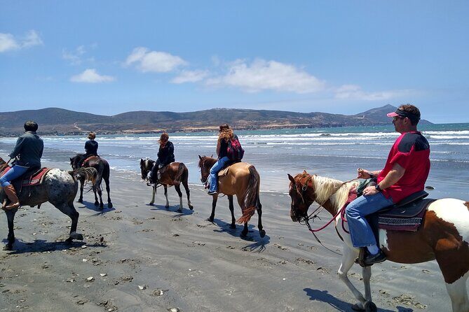 Horseback Riding on the Beach from Ensenada - Practical Details: Price, Duration, and Logistics