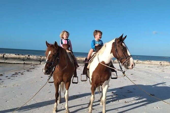 Horseback Riding on the Beaches of Holbox - Authentic Experiences & Traveler Insights