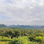 Horseback Riding Playa Larga - Final Thoughts: Is It Worth It?