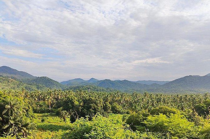 Horseback Riding Playa Larga - Final Thoughts: Is It Worth It?