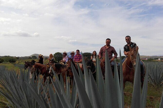 Horseback Riding Tour in The Agave Field with Lunch - A Day in the Life on This Tequila Horseback Tour