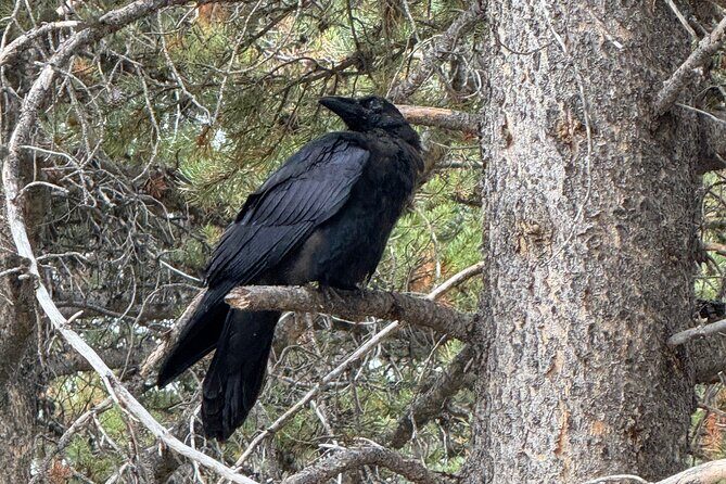 Hot Springs and Geysers Private Tour - Why This Tour Offers Great Value