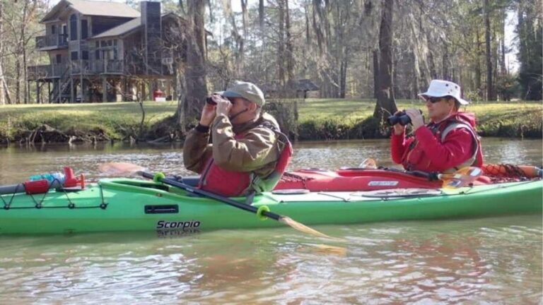 Houston: Luce Bayou Kayaking Tour - Analyzing the Value