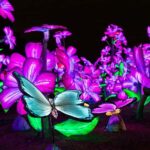 Houston: Radiant Nature Winter Light Show Tickets - Interactive and Family-Friendly Elements