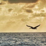 Huatulco: City Tour and Viewpoints - Cultural and Tasting Experiences: Mezcal and Looms