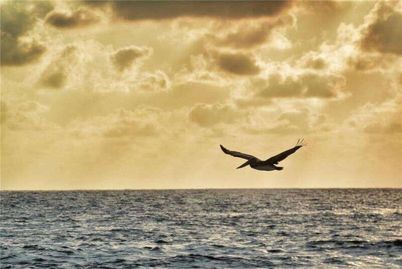 Huatulco: City Tour and Viewpoints - Cultural and Tasting Experiences: Mezcal and Looms